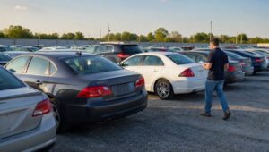 Pátio de leilão com carros usados enfileirados e um comprador avaliando